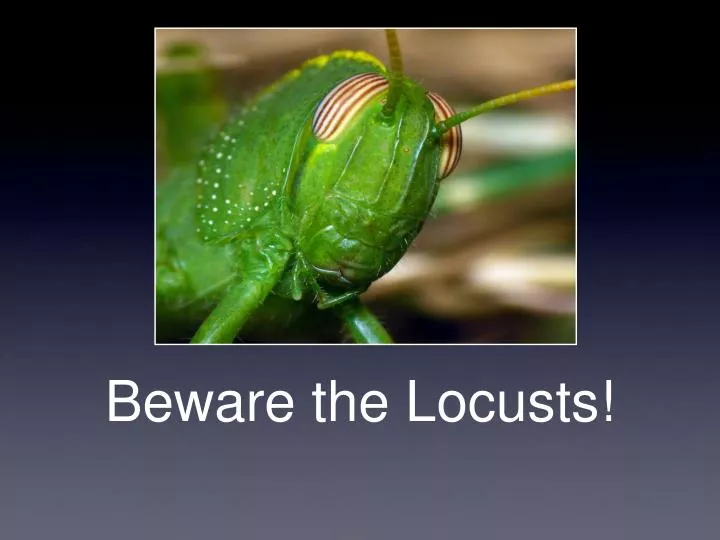 beware the locusts
