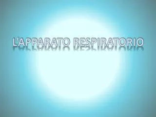 l apparato respiratorio