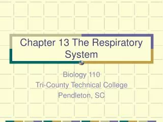 chapter 13 the respiratory system