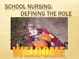 School Nursing: 		Defining the Role