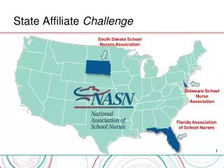 State Affiliate Challenge