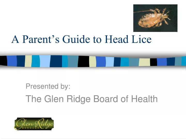 a parent s guide to head lice