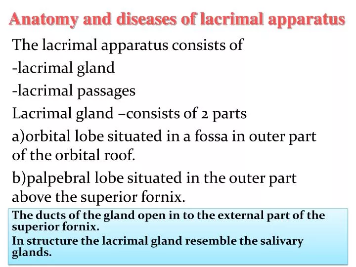 anatomy and diseases of lacrimal apparatus