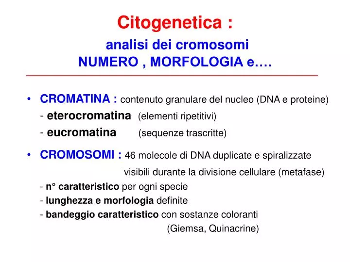 citogenetica analisi dei cromosomi numero morfologia e