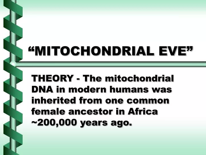 mitochondrial eve