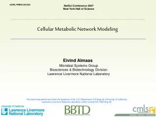 Cellular Metabolic Network Modeling