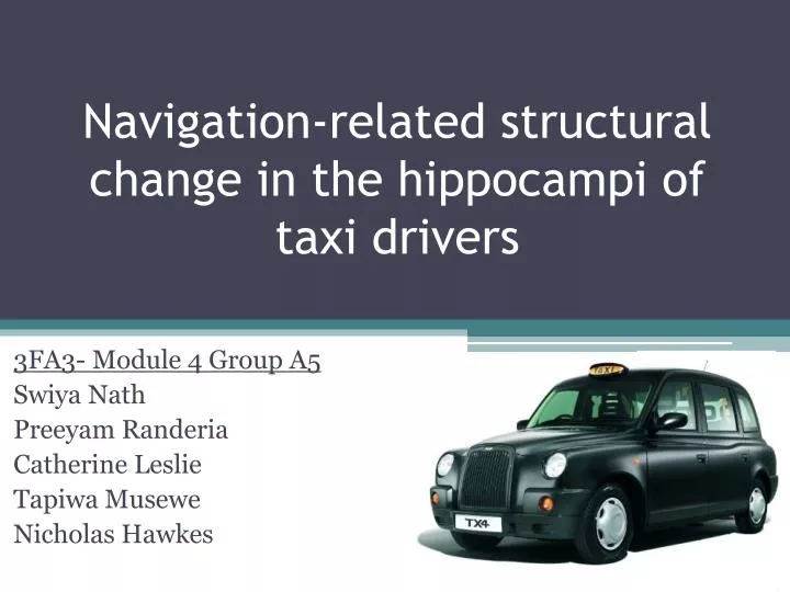 navigation related structural change in the hippocampi of taxi drivers