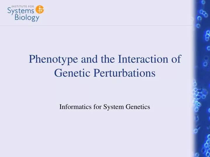 phenotype and the interaction of genetic perturbations