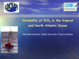 Variability of fCO 2 in the tropical and North Atlantic Ocean