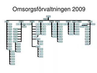 omsorgsf rvaltningen 2009