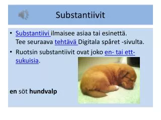 substantiivit