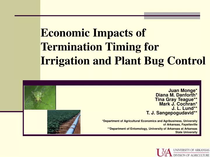 economic impacts of termination timing for irrigation and plant bug control