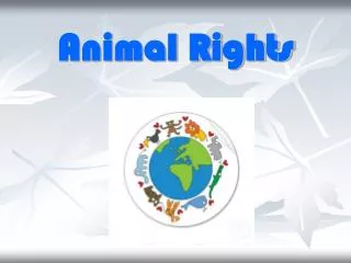 Animal Rights