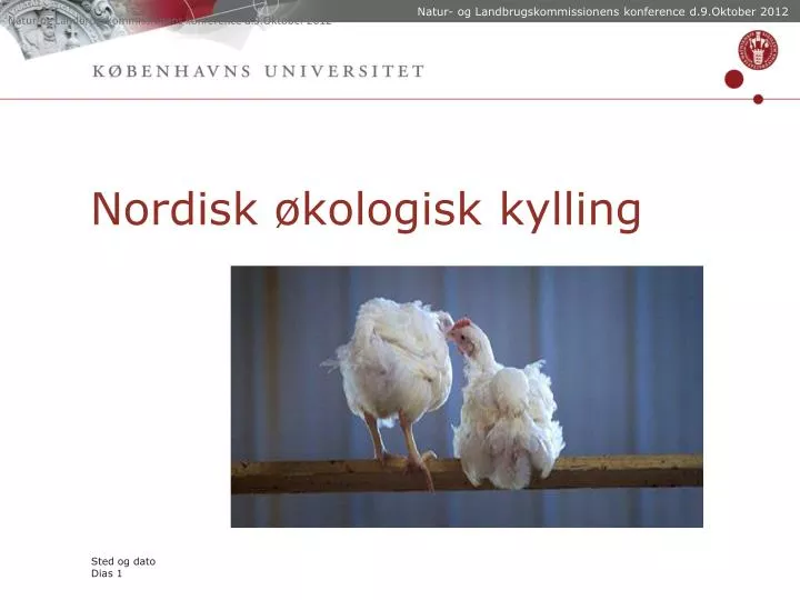 nordisk kologisk kylling