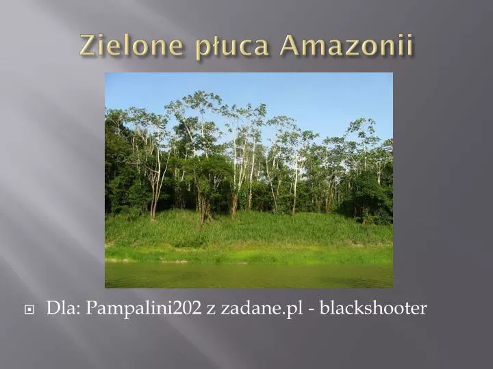zielone p uca amazonii