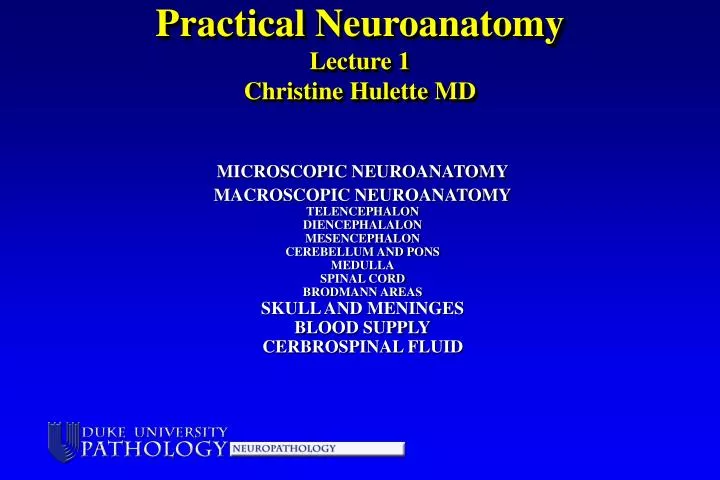 practical neuroanatomy lecture 1 christine hulette md