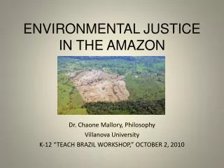 ENVIRONMENTAL JUSTICE IN THE AMAZON