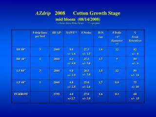 AZdrip 2008 Cotton Growth H:N ratio