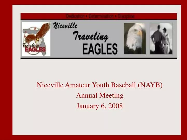 niceville amateur youth baseball nayb annual meeting january 6 2008