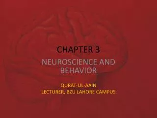 chapter 3