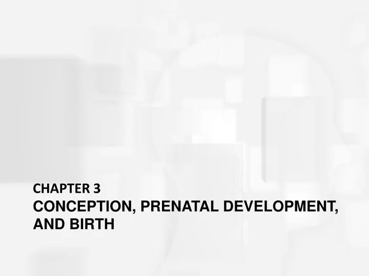 chapter 3 conception prenatal development and birth