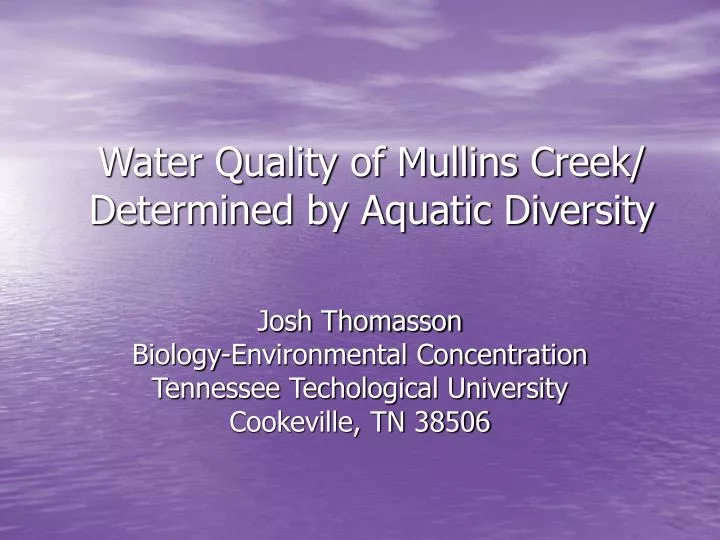 water quality of mullins creek determined by aquatic diversity