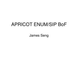 APRICOT ENUM/SIP BoF