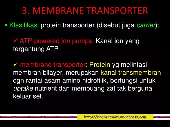 3 membrane transporter