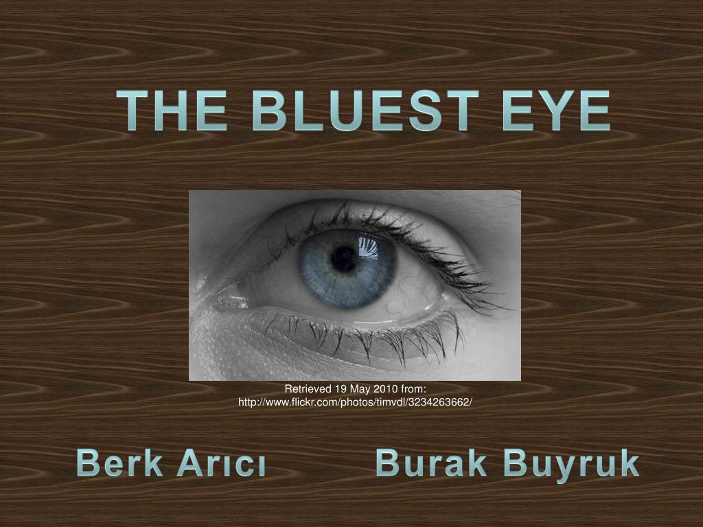PPT - THE BLUEST EYE PowerPoint Presentation, free download - ID:4405920