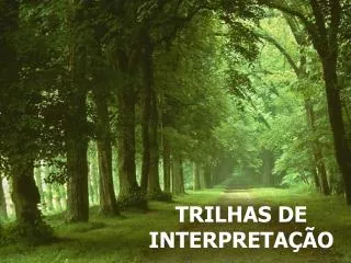 trilhas de interpreta o