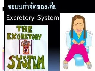 excretory system