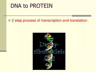 DNA to PROTEIN