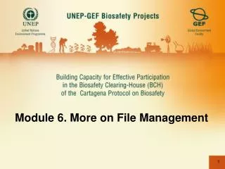 Module 6. More on File Management