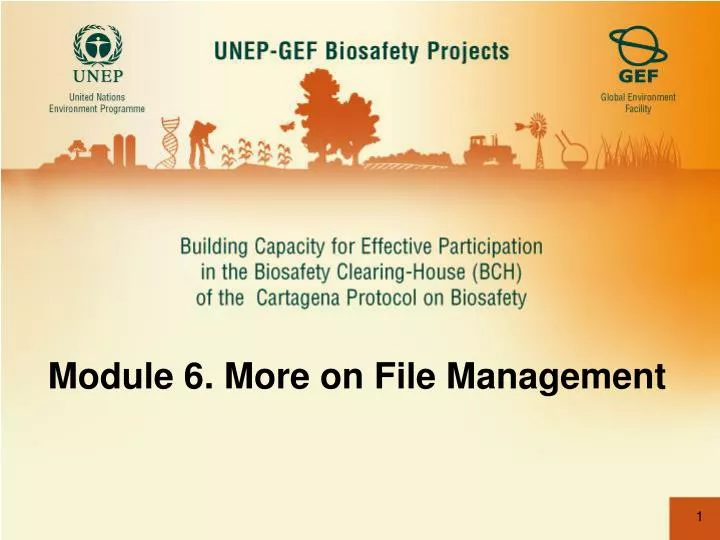 module 6 more on file management