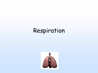 Respiration