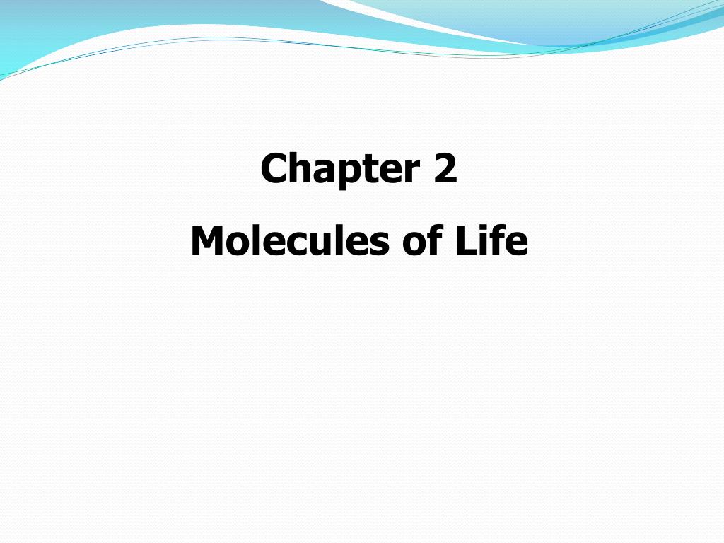 PPT - Chapter 2 Molecules of Life PowerPoint Presentation, free ...
