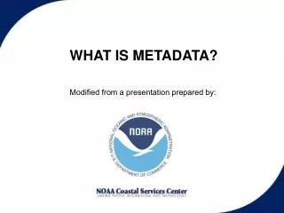 WHAT IS METADATA?