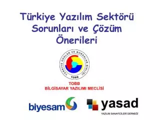 t rkiye yaz l m sekt r sorunlar ve z m nerileri