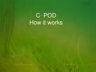 C ~ POD How it works