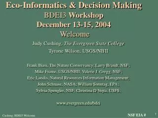 Eco-Informatics &amp; Decision Making BDEI3 Workshop December 13-15, 2004 Welcome