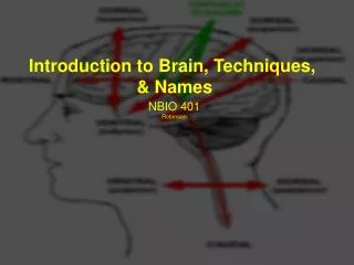 Introduction to Brain, Techniques, &amp; Names