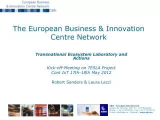 The European Business &amp; Innovation Centre Network