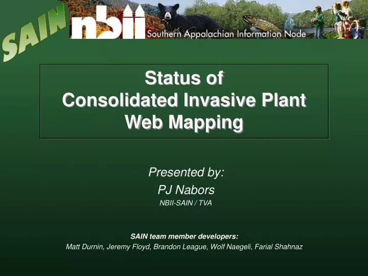 status of consolidated invasive plant web mapping
