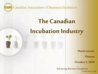 The Canadian Incubation Industry