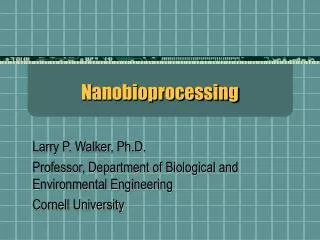 Nanobioprocessing