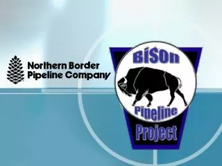 The Bison Pipeline Project