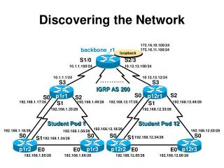Discovering the Network