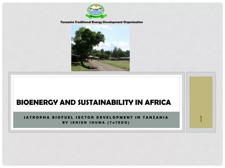 bioenergy and sustainability in africa