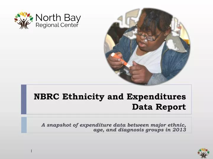 nbrc ethnicity and expenditures data report