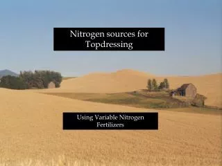 Nitrogen sources for Topdressing